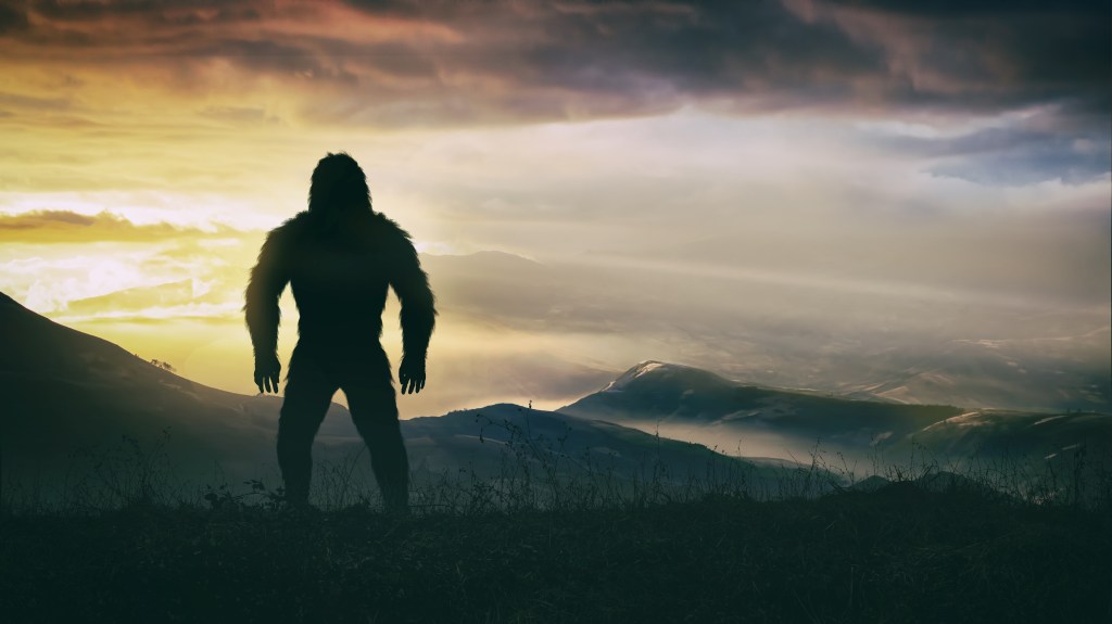 The legendary Sasquatch, also known as Bigfoot, has intrigued believers and naysayers for years.